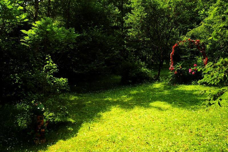 Raj Muszyna Apartamenty z widokiem na panoramę górską Exterior foto