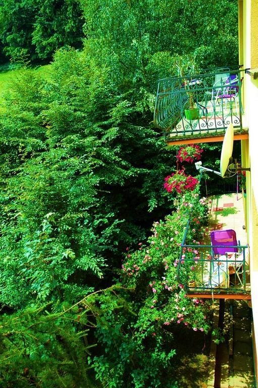 Raj Muszyna Apartamenty z widokiem na panoramę górską Exterior foto