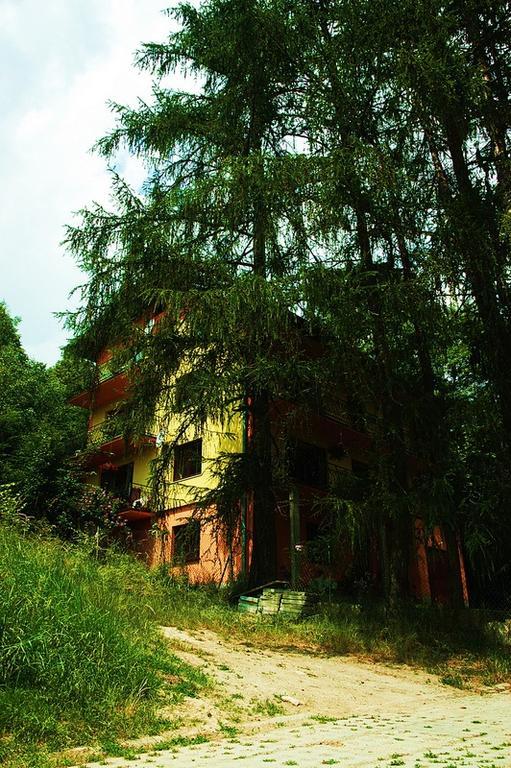 Raj Muszyna Apartamenty z widokiem na panoramę górską Exterior foto